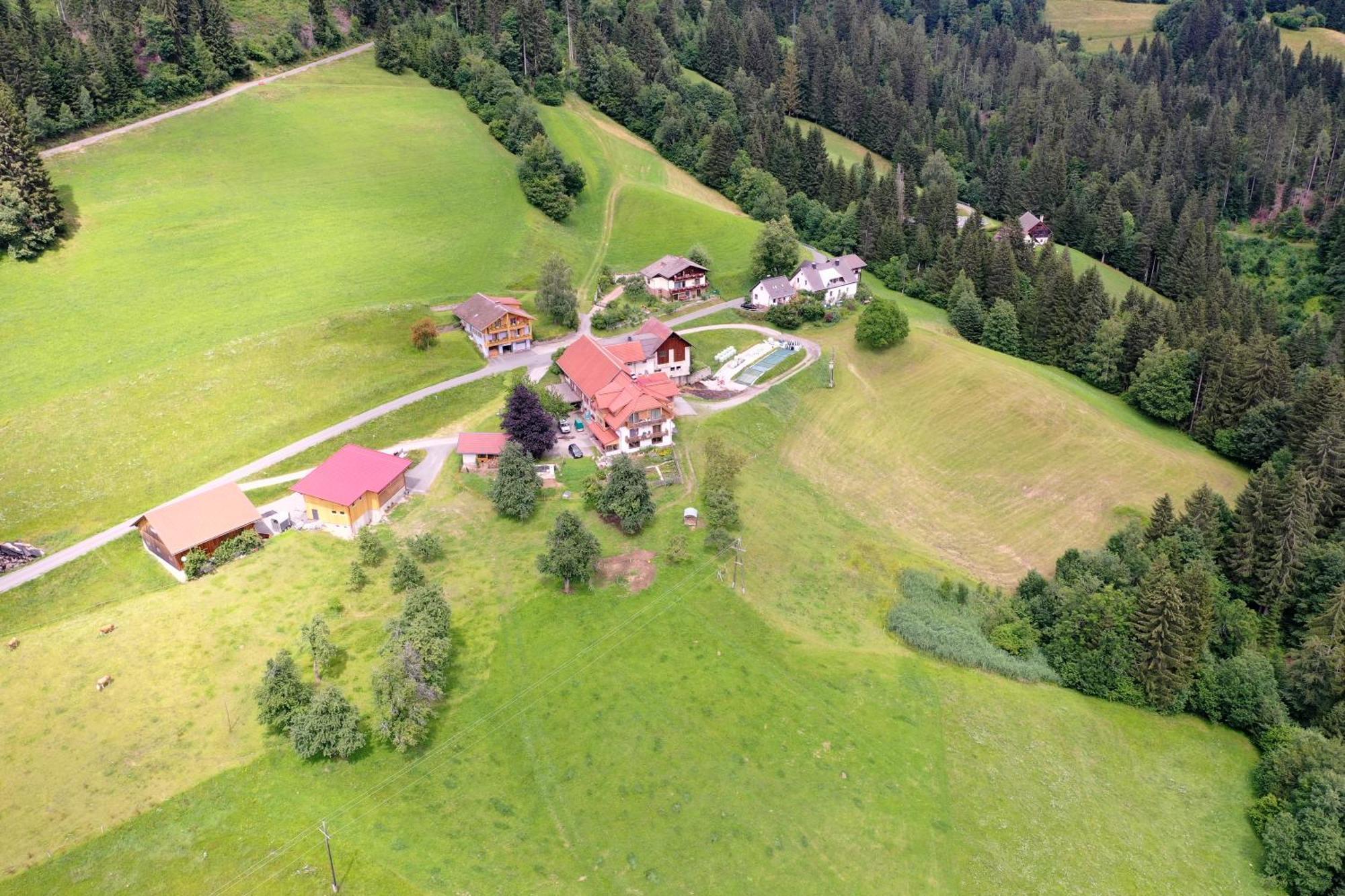 Bergbauernhof Schluder Lejlighed Hermagor-Pressegger See Eksteriør billede